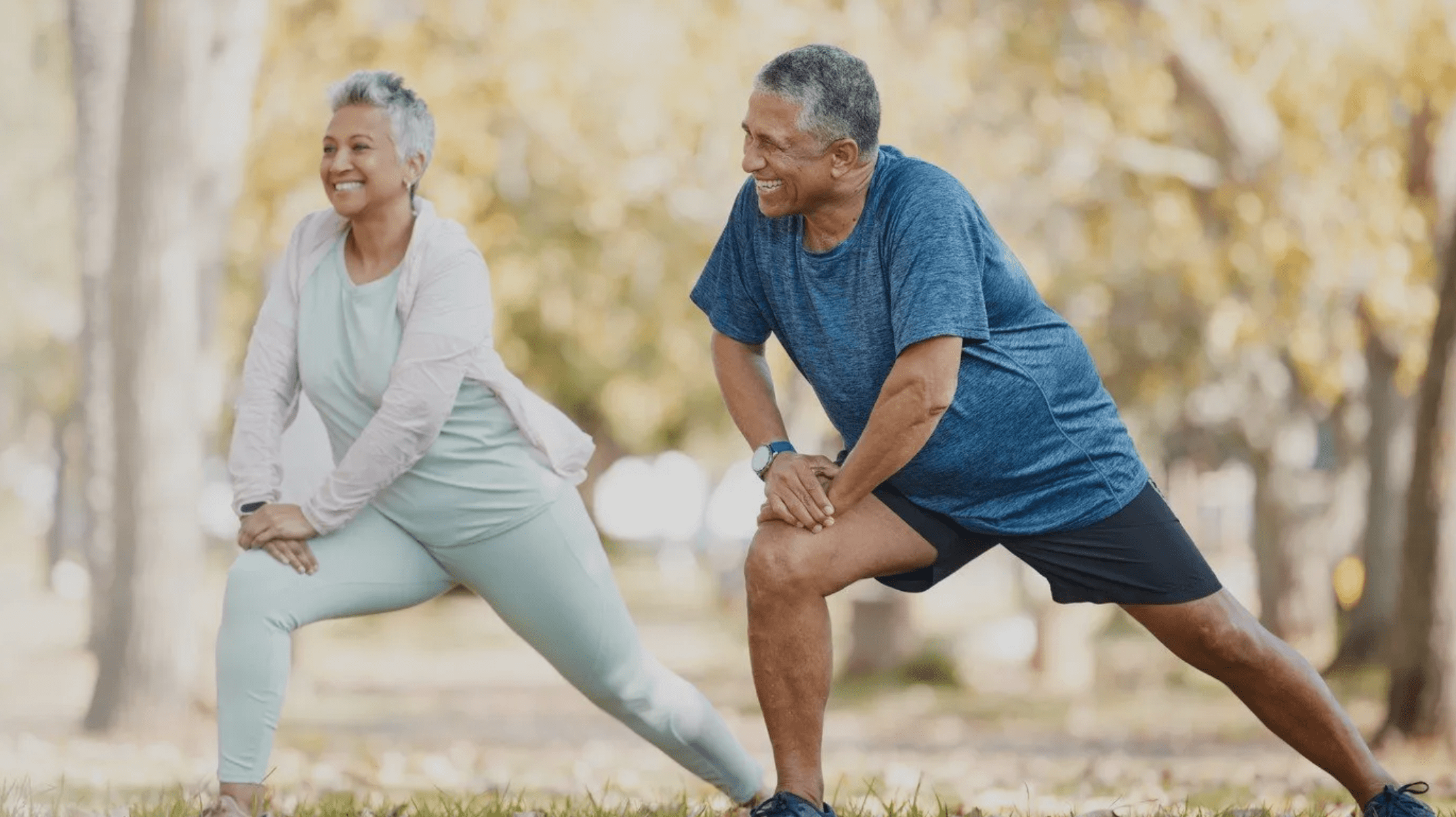 Physical Therapy in Hollywood Park